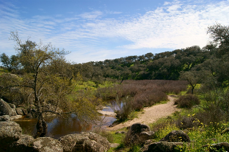 Parque natural de Cornalvo